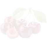 Untitleddesign-2025-08-01T171710.427-ezgif.com-png-to-webp-converter